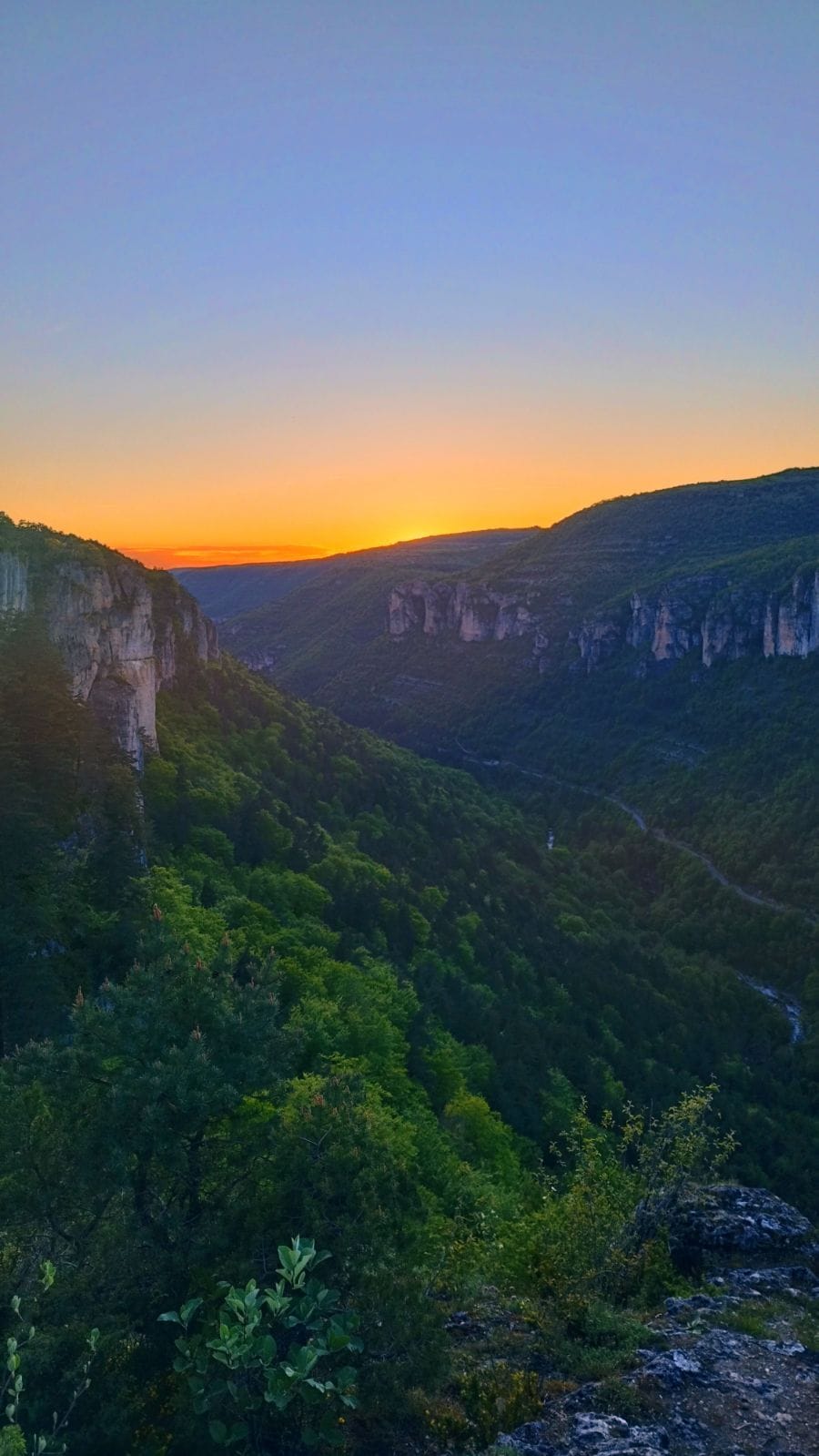Souriya - Mouriès - Bouches-du-Rhône | Rencontre